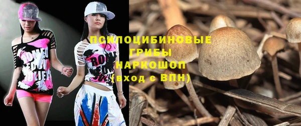 прущая мука Новозыбков