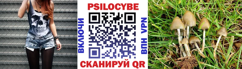 Галлюциногенные грибы Psilocybe где продают Воронеж